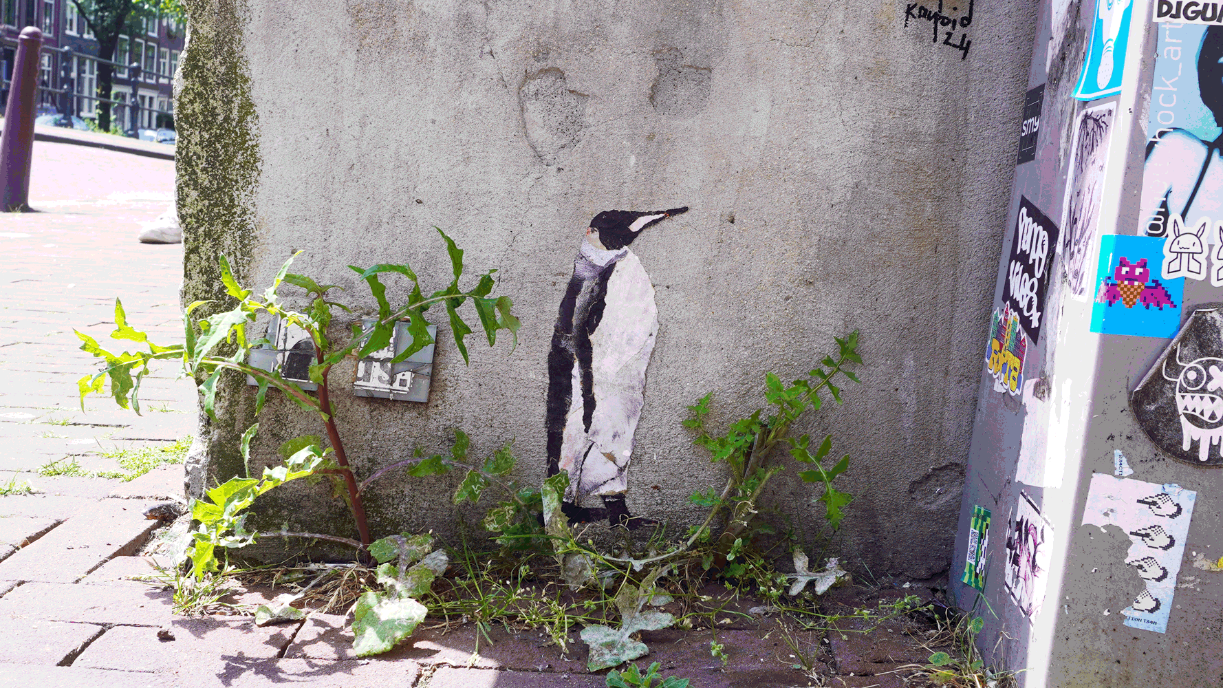 “Penguin” Amsterdam, 2024 